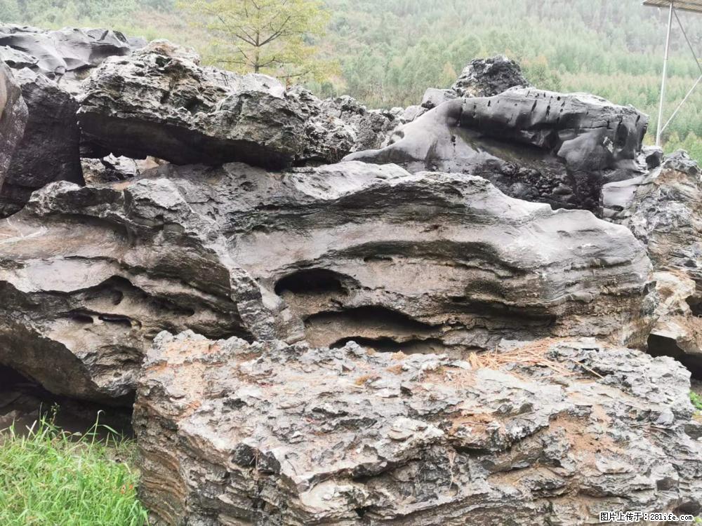 风景石、假山石大量有货，有需要的欢迎联系 - 新手上路 - 中山生活社区 - 中山28生活网 zs.28life.net