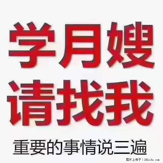 为什么要学习月嫂，育婴师？ - 新手上路 - 中山生活社区 - 中山28生活网 zs.28life.net