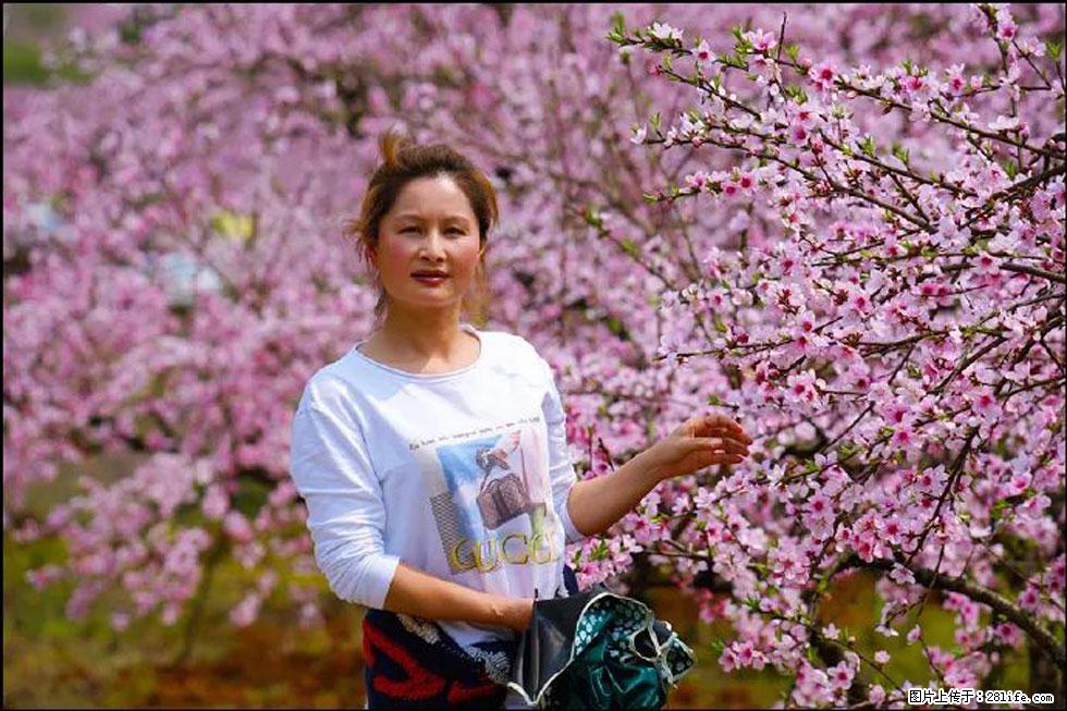 【春天,广西桂林灌阳县向您发出邀请!】官庄村有个醉美的桃花园 - 游山玩水 - 中山生活社区 - 中山28生活网 zs.28life.net