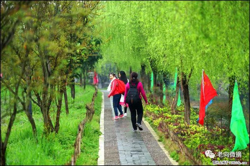 【春天，广西桂林灌阳县向您发出邀请！】江口老街又逢春 - 游山玩水 - 中山生活社区 - 中山28生活网 zs.28life.net