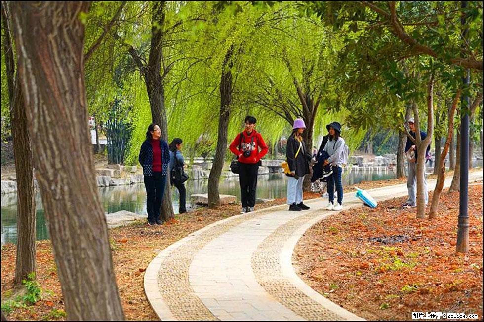 【春天，广西桂林灌阳县向您发出邀请！】江口老街又逢春 - 游山玩水 - 中山生活社区 - 中山28生活网 zs.28life.net