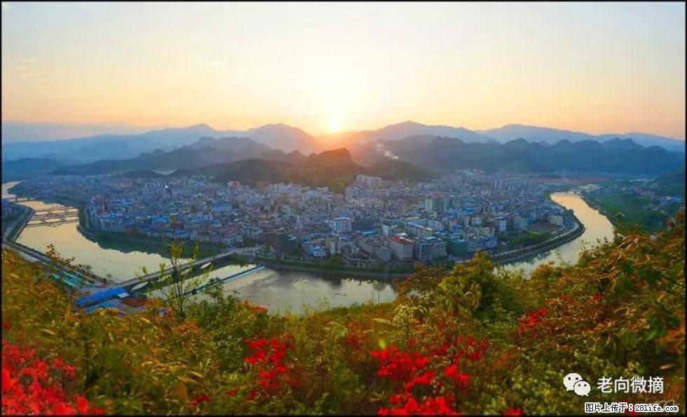 【春天，广西桂林灌阳县向您发出邀请！】登麒麟山，相约映山红 - 游山玩水 - 中山生活社区 - 中山28生活网 zs.28life.net