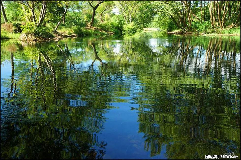 【春天，广西桂林灌阳县向您发出邀请！】熊家寨湿地公园 - 游山玩水 - 中山生活社区 - 中山28生活网 zs.28life.net