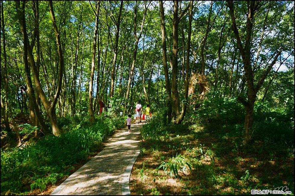 【春天，广西桂林灌阳县向您发出邀请！】熊家寨湿地公园 - 游山玩水 - 中山生活社区 - 中山28生活网 zs.28life.net