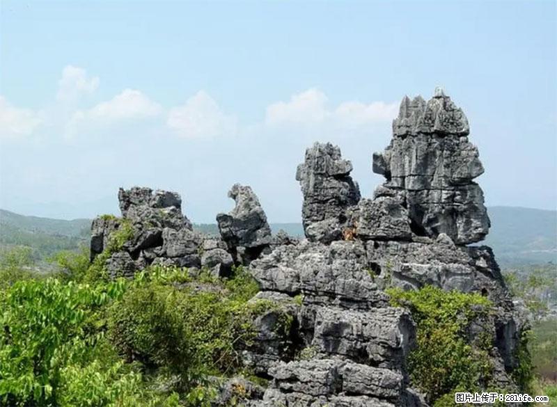 桂林旅游名城景点：灌阳文市石林 - 游山玩水 - 中山生活社区 - 中山28生活网 zs.28life.net