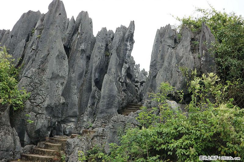 桂林旅游名城景点：灌阳文市石林 - 游山玩水 - 中山生活社区 - 中山28生活网 zs.28life.net