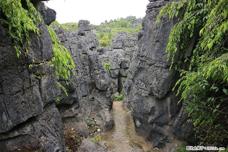 桂林旅游名城景点：灌阳文市石林 - 游山玩水 - 中山生活社区 - 中山28生活网 zs.28life.net