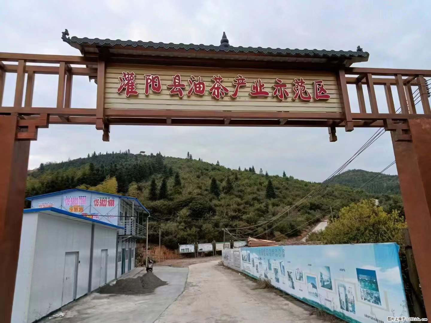 【灌阳县油茶产业示范区】一个有着充实的精神生活的人,对待身外之物自会有一种淡泊的态度 - 土特产 - 饮食特产 - 中山分类信息 - 中山28生活网 zs.28life.net