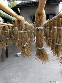 【灌阳正宗红薯粉】美女家里自己做的，干净卫生，假一赔十，价格合理，抢购电话：13737312895 - 中山28生活网 zs.28life.net