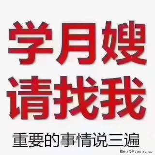 为什么要学习月嫂，育婴师？ - 中山28生活网 zs.28life.net