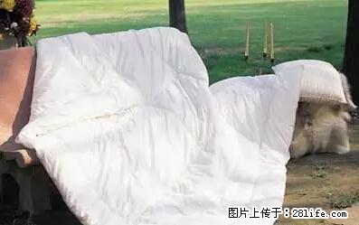 被子有异味？只要这样做，比晒太阳还强100倍！ - 家居生活 - 中山生活社区 - 中山28生活网 zs.28life.net