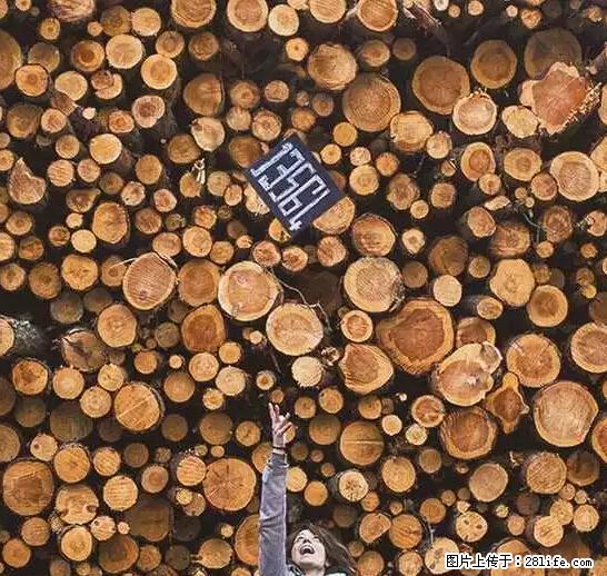 辞掉工作周游世界？现在他们在洗厕所…… - 游山玩水 - 中山生活社区 - 中山28生活网 zs.28life.net