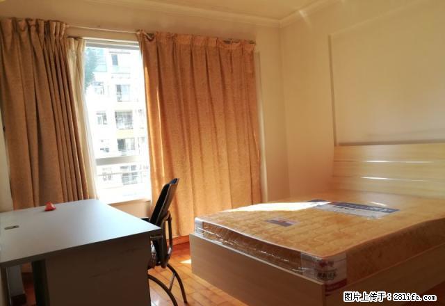 朗晴轩2800元/月便宜出租 95方带装2房 可直接拎包入住 - 房屋出租 - 房屋租售 - 中山分类信息 - 中山28生活网 zs.28life.net