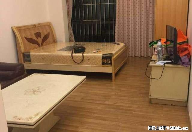 宝嘉上筑 1100元 1室0厅1卫 精装修，业主诚心出租 - 房屋出租 - 房屋租售 - 中山分类信息 - 中山28生活网 zs.28life.net