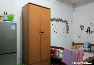 西区下闸新村大三房 低于市场价价出租 家私家电齐全 拎包入住 - 中山28生活网 zs.28life.net