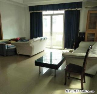 德政路自建房 整栋四房出租 采光好 带平台 家私齐全 - 中山28生活网 zs.28life.net