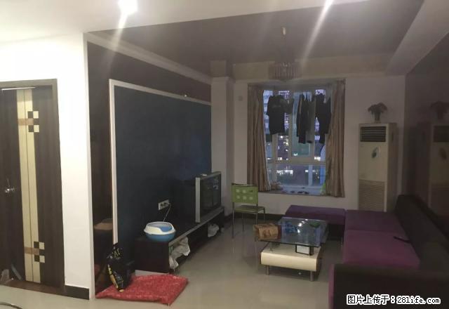 东区 中山路 利和广场旁边 电梯房 家私齐全 租1900元 - 房屋出租 - 房屋租售 - 中山分类信息 - 中山28生活网 zs.28life.net