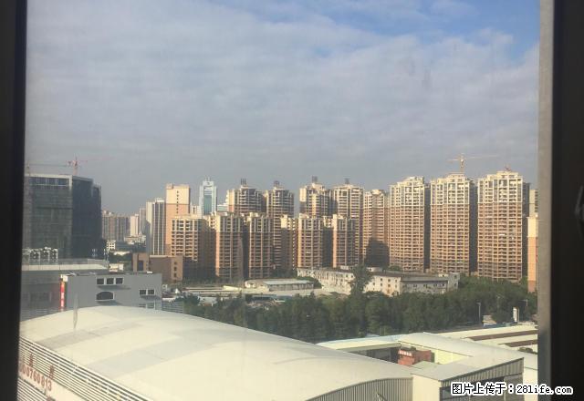 东区 映翠豪庭 1房1厅 家电齐全 拎包即住 中高楼层 - 房屋出租 - 房屋租售 - 中山分类信息 - 中山28生活网 zs.28life.net