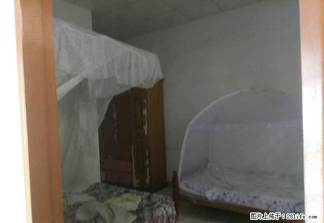 南头整栋自建房出租 自住办公都 是不错的选择 - 房屋出租 - 房屋租售 - 中山分类信息 - 中山28生活网 zs.28life.net