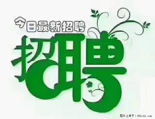 【招聘摄像师】待遇：试用期6000元/月，转正7000元/月+五险一金+餐补+节日福利+奖金 - 其他招聘信息 - 招聘求职 - 中山分类信息 - 中山28生活网 zs.28life.net