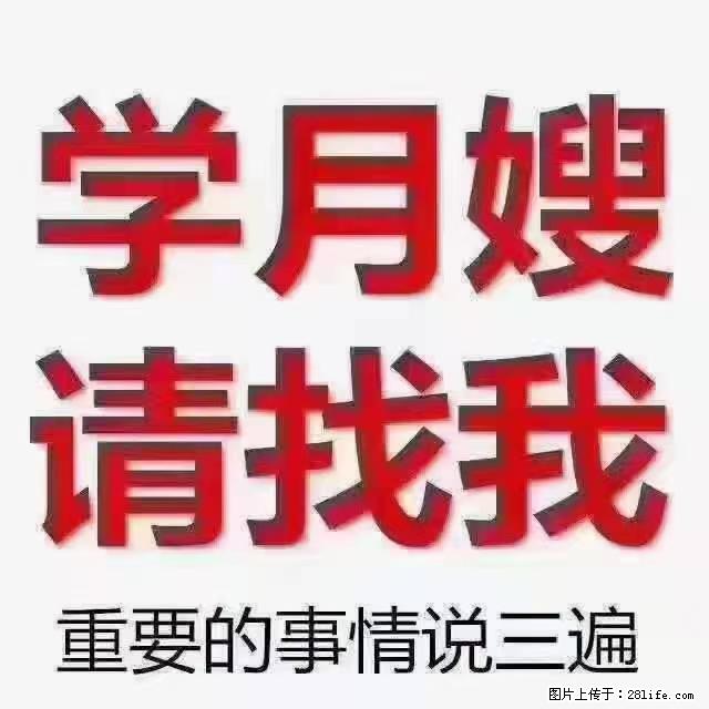 【招聘】月嫂，上海徐汇区 - 职场交流 - 中山生活社区 - 中山28生活网 zs.28life.net