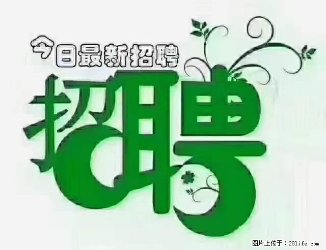 急聘！急聘！上海酒店长期前台，做六休一，每天8小时，6000块钱一月 - 职场交流 - 中山生活社区 - 中山28生活网 zs.28life.net