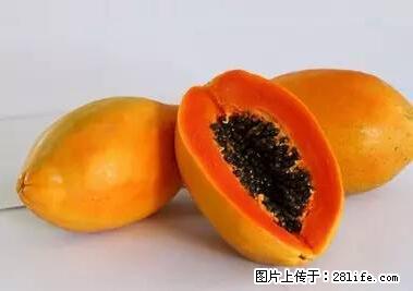 晕车、脚气、牙齿变黄、皮肤粗糙？学会这些三分钟搞定！ - 中山生活资讯 - 中山28生活网 zs.28life.net