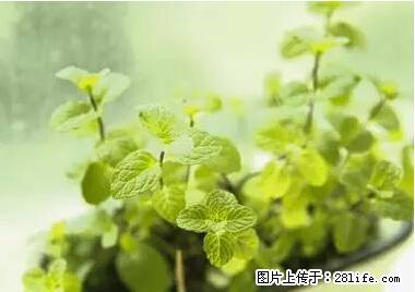 晕车、脚气、牙齿变黄、皮肤粗糙？学会这些三分钟搞定！ - 中山生活资讯 - 中山28生活网 zs.28life.net