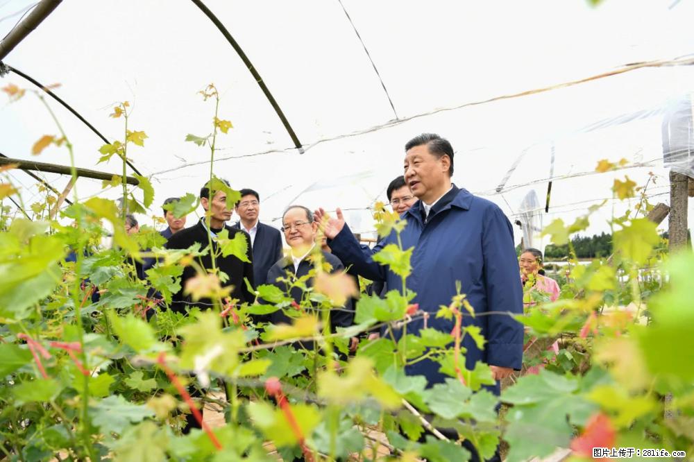 习近平赴广西考察调研 - 中山生活资讯 - 中山28生活网 zs.28life.net