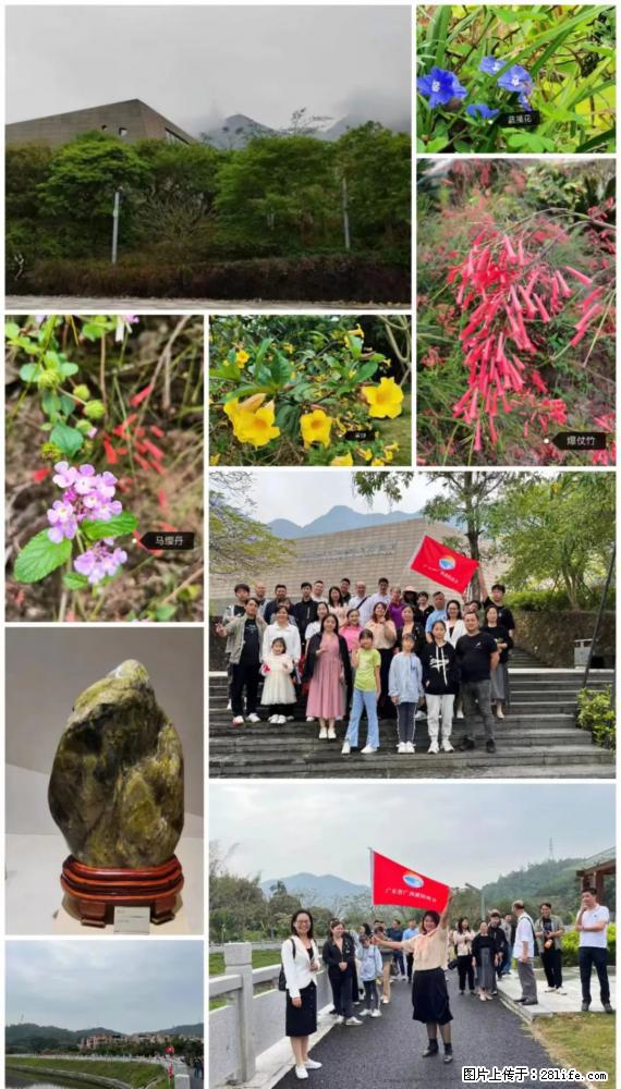 “粤灌文化 美好生活”油茶文化主题活动在广东深圳成功举办 - 中山生活资讯 - 中山28生活网 zs.28life.net
