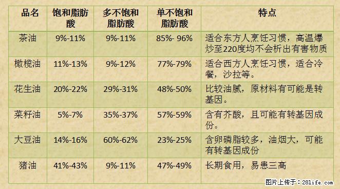 揭秘茶油的5大核心营养成分！被称为人体健康的“守护盾”！ - 中山生活资讯 - 中山28生活网 zs.28life.net