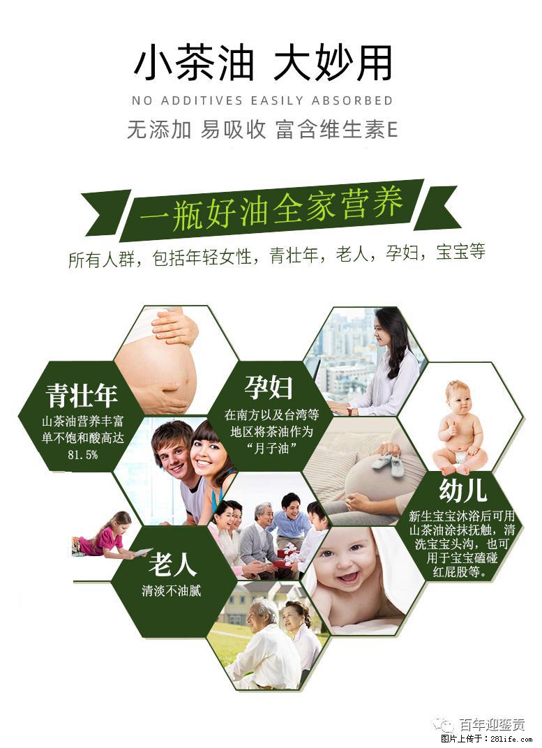 世界没有真相，只有认知，最好的食用油是中国的山茶油！ - 中山生活资讯 - 中山28生活网 zs.28life.net