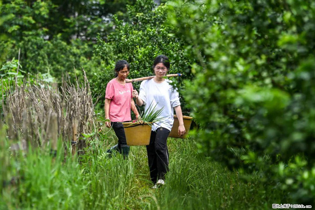 全网追的“扁担女孩”，找了一份暑假工，时薪12元 - 中山生活资讯 - 中山28生活网 zs.28life.net