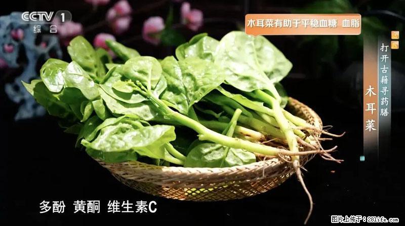 比牛奶补钙还厉害！凉血解毒、稳血糖...这菜冬天必吃，很多人却当草 - 中山生活资讯 - 中山28生活网 zs.28life.net