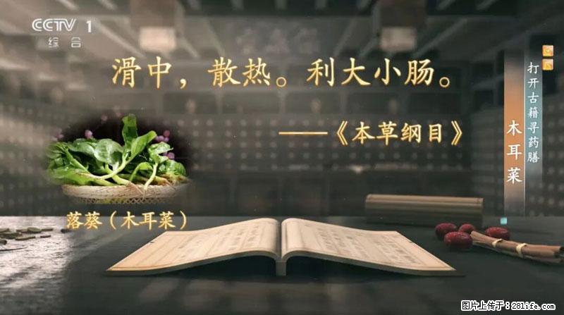 比牛奶补钙还厉害！凉血解毒、稳血糖...这菜冬天必吃，很多人却当草 - 中山生活资讯 - 中山28生活网 zs.28life.net