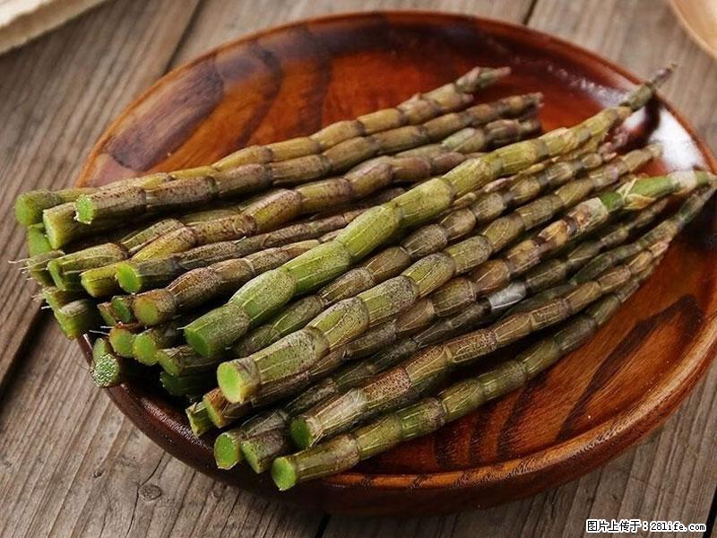 铁皮石斛的作用与功能主治 - 中山生活资讯 - 中山28生活网 zs.28life.net