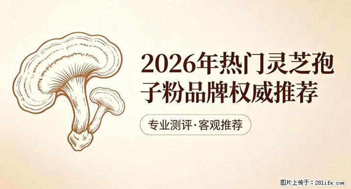 灵芝孢子粉含量越高越有效？2026 年七款热门品牌深度实测，肠胃敏感者避坑指南 - 中山生活资讯 - 中山28生活网 zs.28life.net